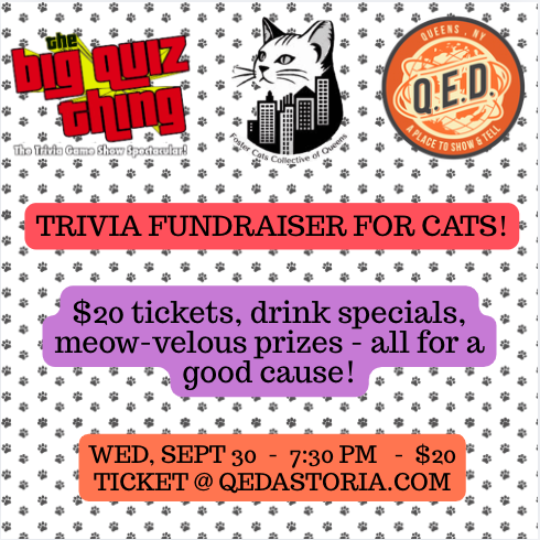 Trivia Fundraiser for Cats!