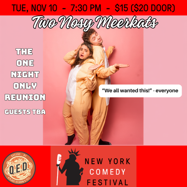 NYCF: Two Nosy Meerkats